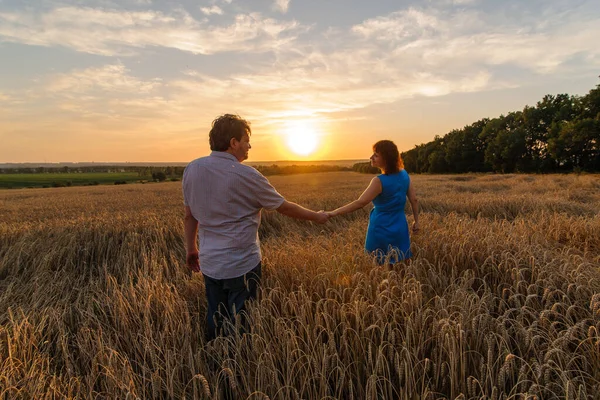 Дорослий Фермер Його Дружина Йдуть Рукою Через Пшеничне Поле — стокове фото