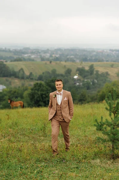 Junger Hübscher Bräutigam Braunen Anzug Spaziert Über Eine Grüne Wiese — Stockfoto