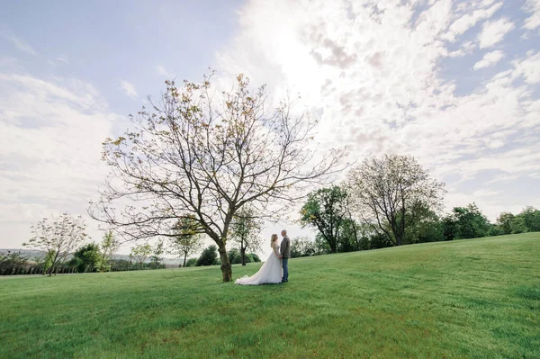 Gelin Damat Birbirlerinin Ellerini Tutuyorlar Bir Erkek Bir Kadın Birbirlerinin — Stok fotoğraf