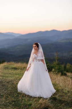 Duvakla örtülmüş yalnız bir gelin dağların arkasındaki günbatımına bakıyor..