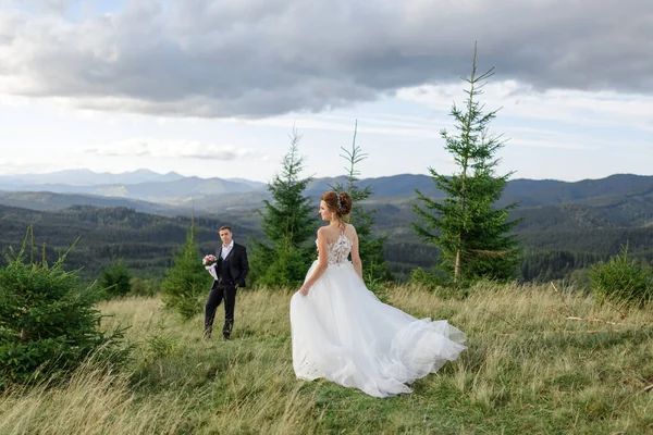 新婚夫妇在山上庆祝他们的婚礼 — 图库照片
