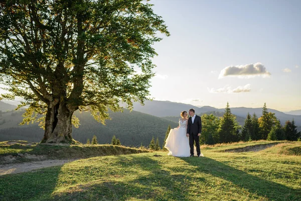 Svatební Fotografie Horách Nevěsta Ženich Drží Ruku Starého Stého Buku — Stock fotografie