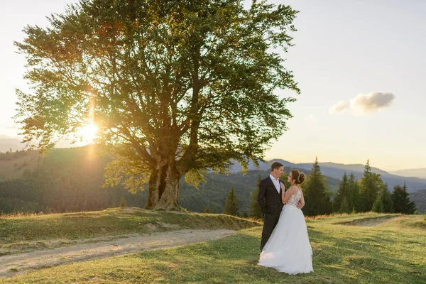 Huwelijksfotografie Bergen Pasgetrouwden Knuffelen Elkaar Kijken Elkaar Ogen Tegen Achtergrond — Stockfoto