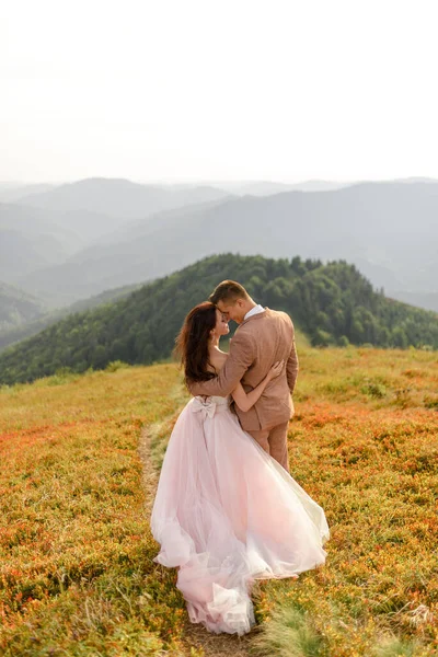 Gli Sposi Stanno Piedi Con Spalle Abbracciati Tramonto Foto Matrimonio — Foto Stock