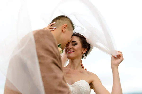 Gli Sposi Sorridono Dolcemente Abbracciano Sotto Velo Gli Amanti Hanno — Foto Stock