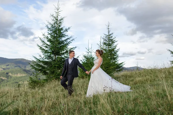 Esküvői Fotózás Hegyekben Menyasszony Vőlegény Fogják Egymás Kezét — Stock Fotó