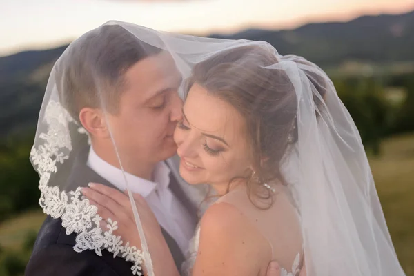 Bryllupsfotografering Fjellet Nygifte Klemmer Slør Avgrensning – stockfoto