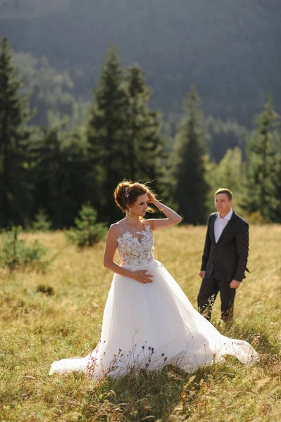 Recém Casados Celebram Seu Casamento Nas Montanhas — Fotografia de Stock
