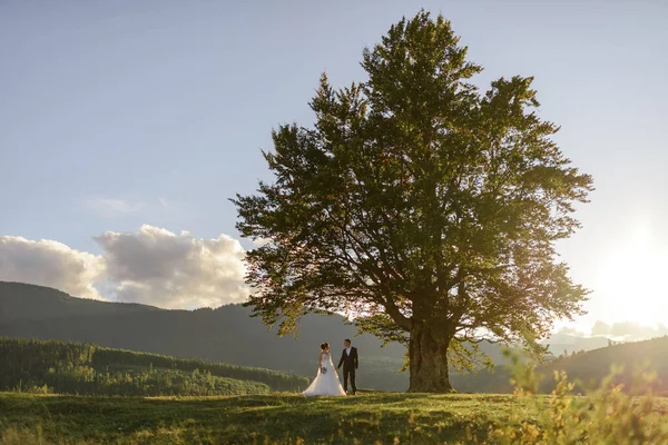 Huwelijksfotografie Bergen Bruid Bruidegom Houden Hand Hand Bij Oude 100 — Stockfoto