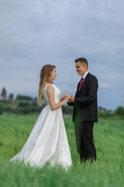 新娘新郎 身着婚纱的新婚夫妇 日落时分 站在村子的绿地上 — 图库照片