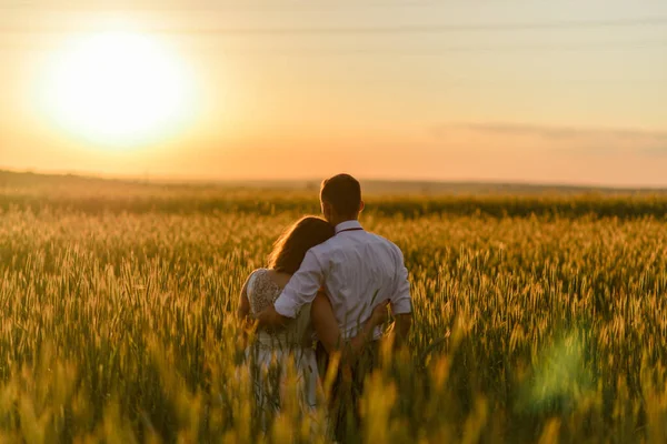 Жених Невеста Пшеничном Поле Пара Обнимается Закате Смотрит Вдаль Спиной — стоковое фото