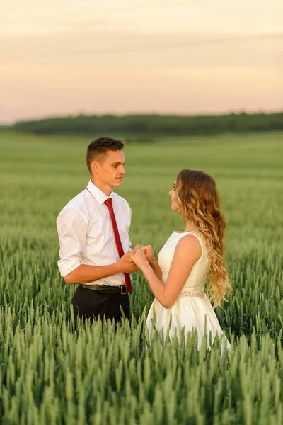 Brud Och Brudgum Ett Vetefält Par Håller Varandra Handen — Stockfoto