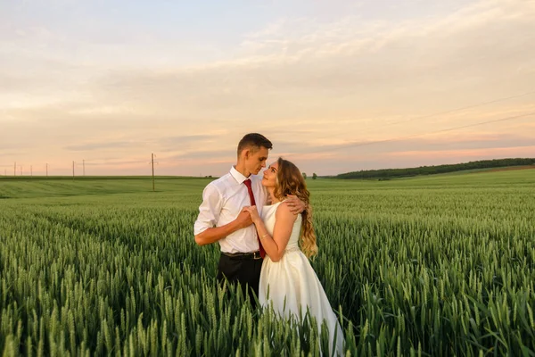 Noiva Noivo Num Campo Trigo Casal Está Abraçando Durante Pôr — Fotografia de Stock