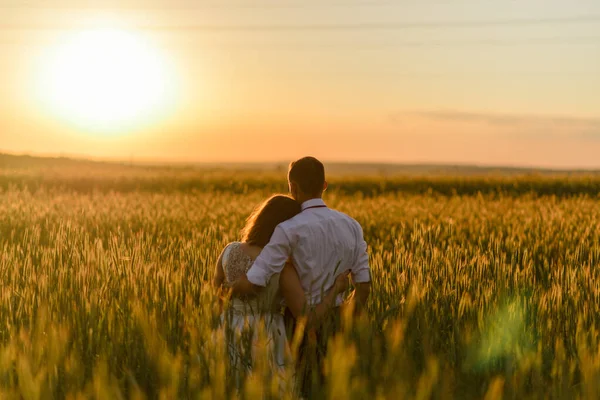 Noiva Noivo Num Campo Trigo Casal Abraça Durante Pôr Sol Imagens Royalty-Free