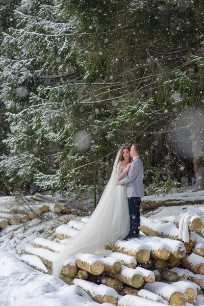 Noiva Noivo Estão Abraçando Fundo Uma Floresta Abetos Nevados Nevar — Fotografia de Stock