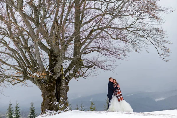 Жених Невеста Обнимаются Ковром Согреться Зимняя Свадьба — стоковое фото