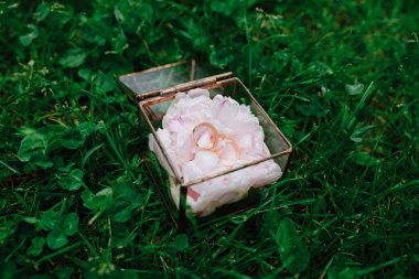 Şakayık bir yastıkta eski cam bir kutuda evlilik yüzükleri. Kutu yeşil çimlerin üzerinde yatıyor..