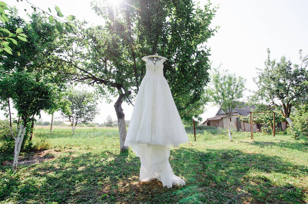 White wedding dress of the bride hangs on a tree in the garden.