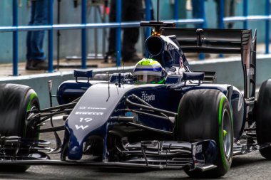 Williams f1, felipe massa, 2014 takım