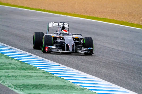 Equipe Sauber F1, Adrian Sutil, 2014 — Fotografia de Stock