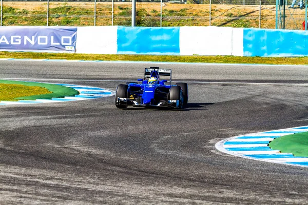 Sauber Motorsport F1 takımı, Marcus Ericsson, 2015 — Stok fotoğraf