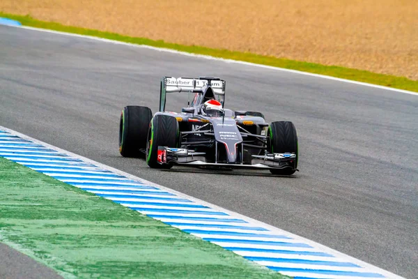 Sauber F1 Team, Adrian Sutil — Zdjęcie stockowe