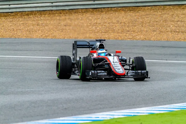 Equipo McLaren Honda F1 — Foto de Stock