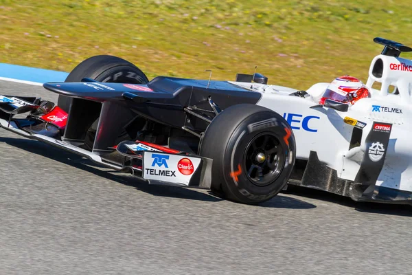 Takımı Sauber F1, Kamui Kobayashi — Stok fotoğraf