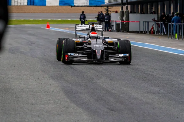 Команда Sauber F1, Адриан Сутил — стоковое фото