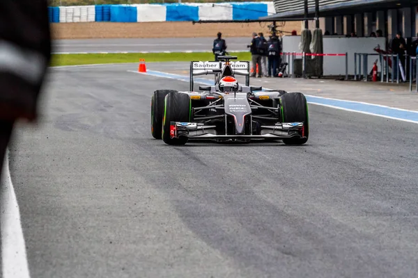 Adrian Sutil de Sauber F1 — Fotografia de Stock