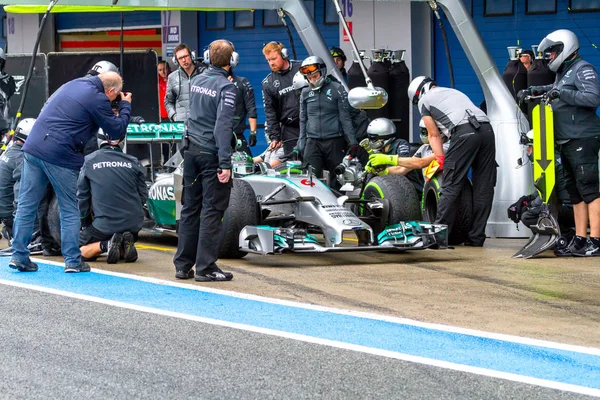Mercedes AMG Petronas F1 — Stok Foto