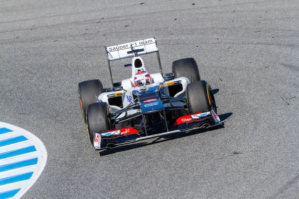 Sauber F1 yarış — Stok fotoğraf
