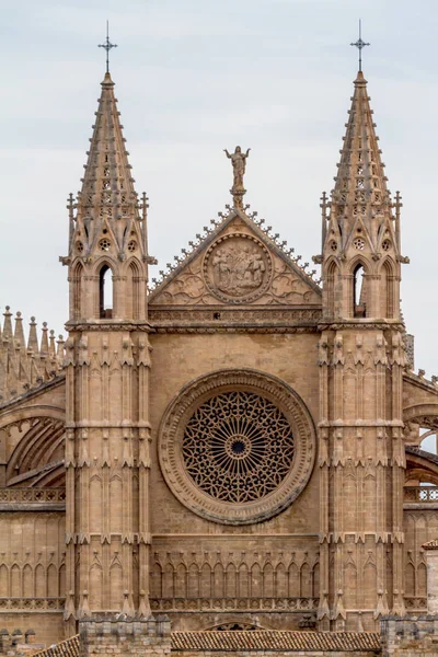 Cathedral La Seu — Stock Photo, Image