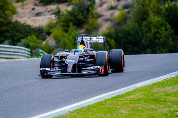 Esteban Gutierrez Sauber F1 — Stock fotografie