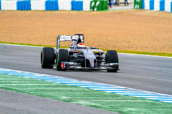 F1 corridas em sessão de treinamento — Fotografia de Stock