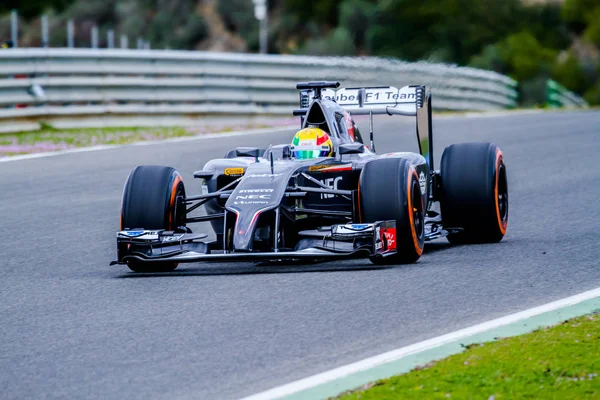 F1 trainingssessie — Stockfoto