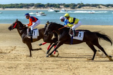 Horse race on Sanlucar of Barrameda  clipart