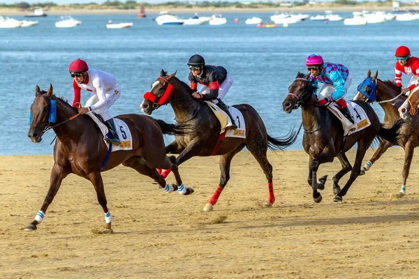 Corrida de cavalos em Sanlucar de Barrameda — Fotografia de Stock