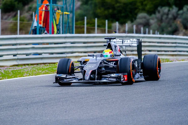 F1 sessione di allenamento — Foto Stock