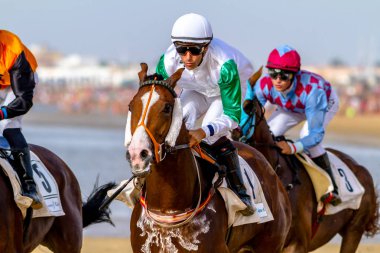 horses race in Spane clipart