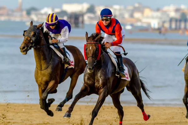 Corrida de cavalos em Spane — Fotografia de Stock