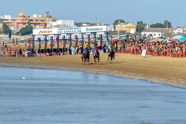 Horse race i Spanien — Stockfoto