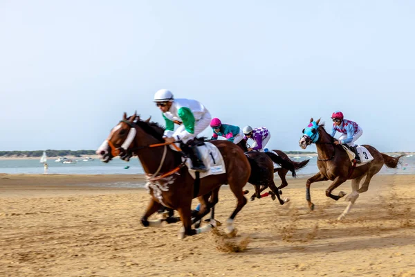 Wyścigów konnych w Hiszpanii — Zdjęcie stockowe