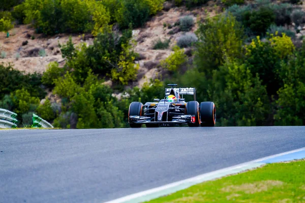 Courses F1 en séance d'entraînement — Photo