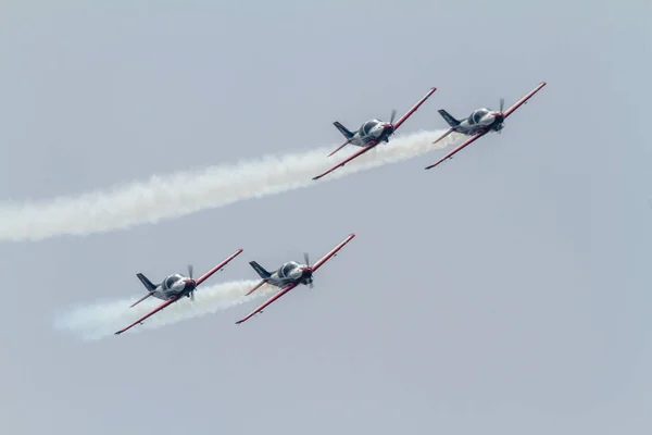 Flugzeug-Alpi-Pionier 300 von Pionier-Team — Stockfoto