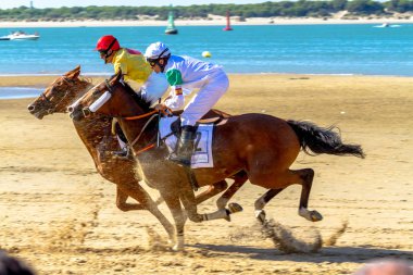 SANLUCAR DE BARRAMEDA, CADIZ, SPAIN - AUGUST 12: Unidentified riders race the Second horses race called Premio Bodegas Baron on August 12, 2016 in Sanlucar de Barrameda, Cadiz, Spain. clipart
