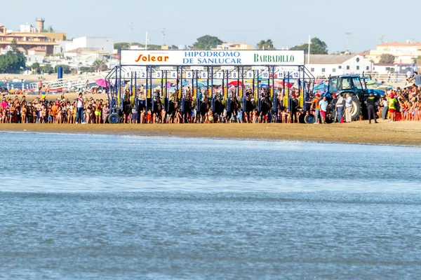 Sanlucar De Barrameda, Cadiz, İspanya - 12 Ağustos: Tanımlanamayan biniciler üzerinde 12 Ağustos 2016 yılında Sanlucar de Barrameda, Cadiz, İspanya Parque Comercial las Dunas adlı üçüncü atlar yarış yarış.