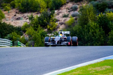 Takımı Sauber F1, Esteban Gutierrez, 2014