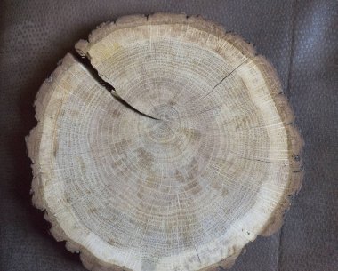 ahşap arka plan tasarımı