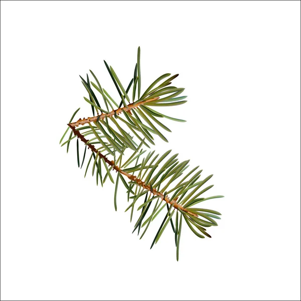 Agujas realistas, ramas de abeto Árbol de Navidad, Deta aislado — Vector de stock